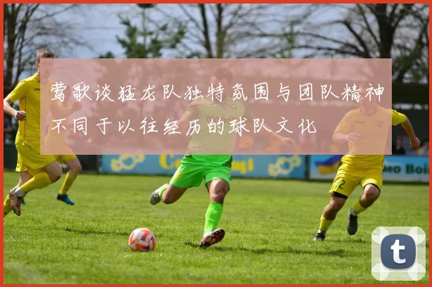 莺歌谈猛龙队独特氛围与团队精神不同于以往经历的球队文化